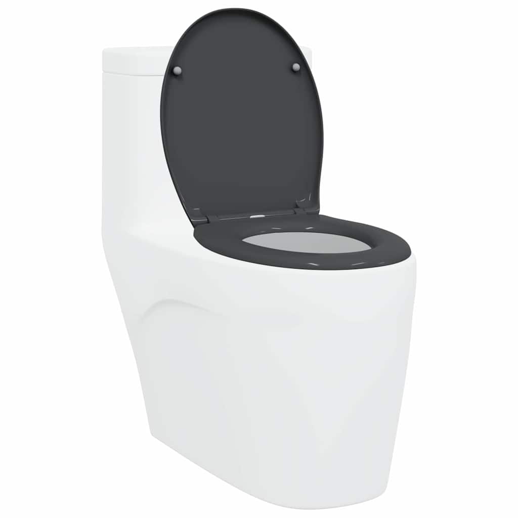 Schnellverschluss-WC-Sitz Anthrazit 44,8 x 37,3 x 4,2 cm