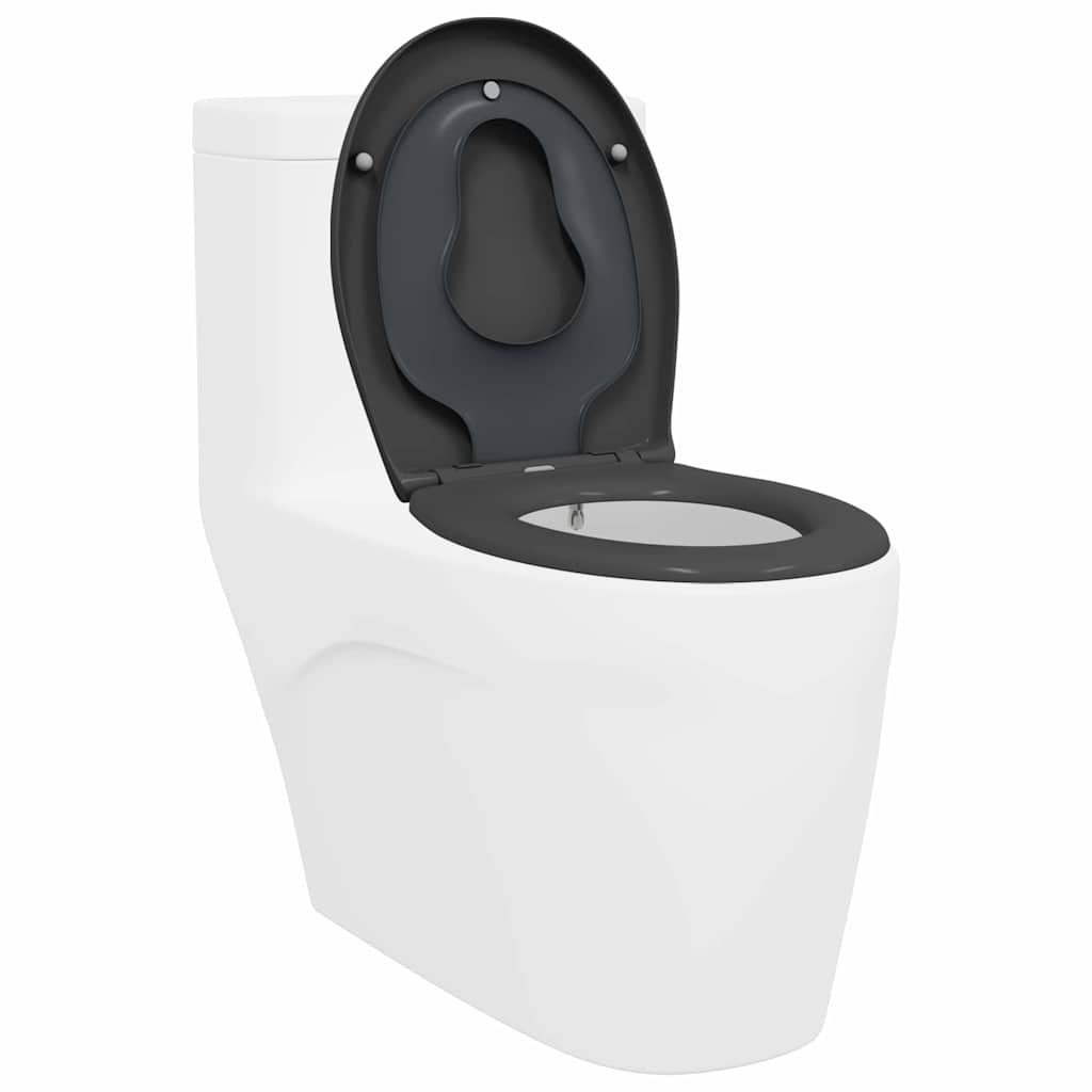 Schnellverschluss-WC-Sitz Anthrazit 44.5 x 37.3 x 4.3 cm