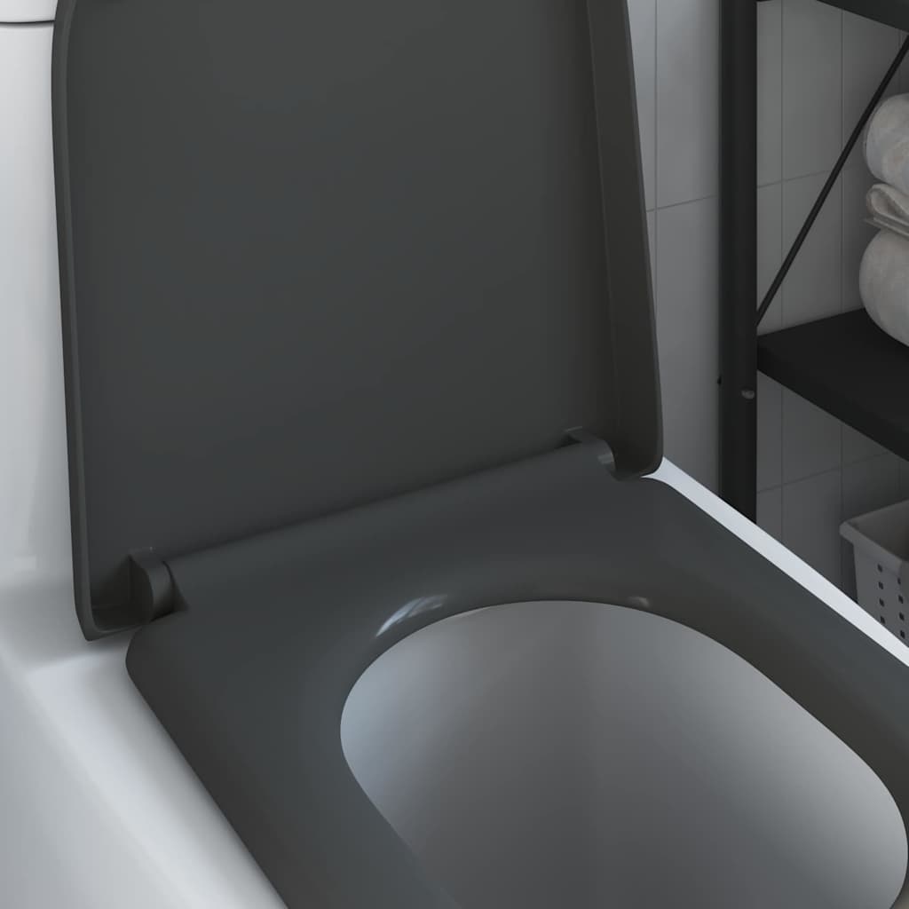Schnellverschluss-WC-Sitz Anthrazit 46,2 x 36 x 4,3 cm