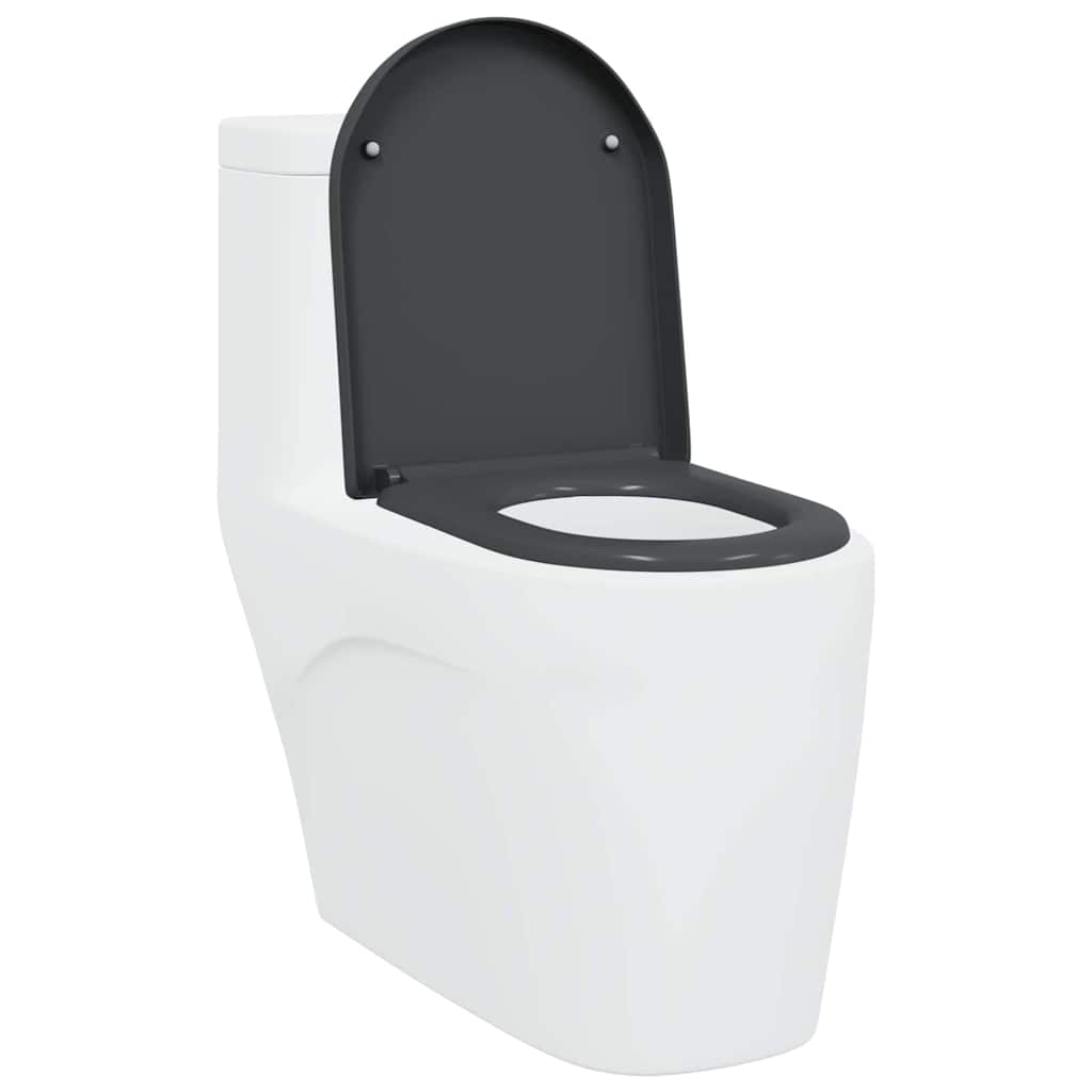 Schnellverschluss-WC-Sitz Anthrazit 46,2 x 36 x 4,3 cm