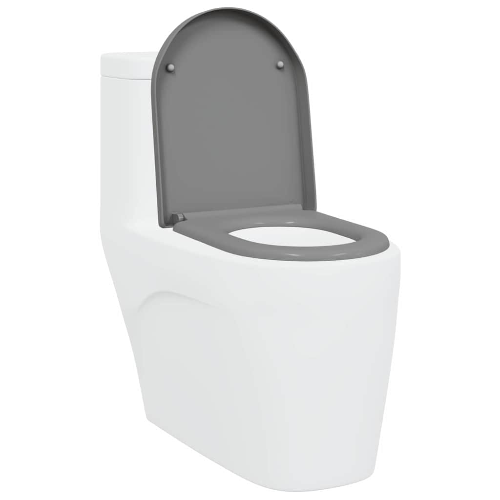 Schnellverschluss-WC-Sitz Grau 46,2 x 36 x 4,3 cm Duroplast