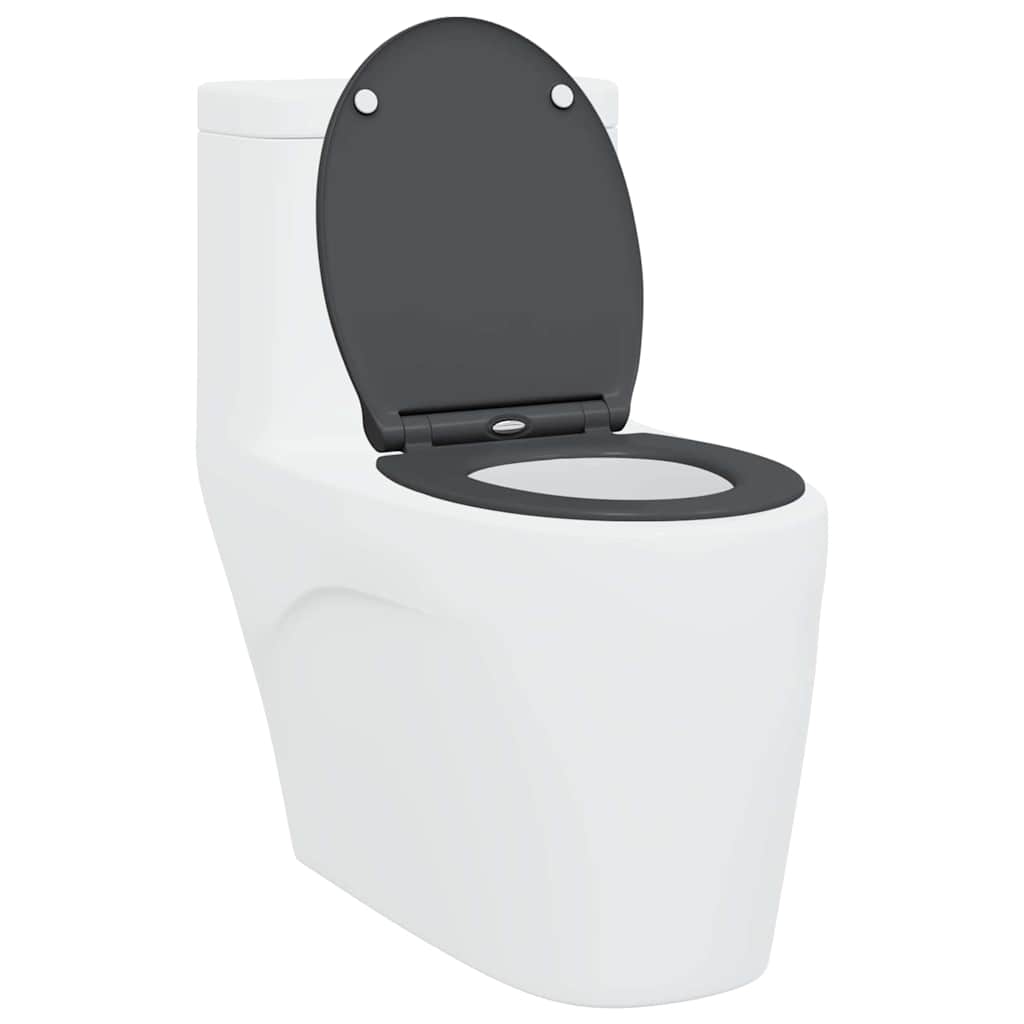 Schnellverschluss-WC-Sitz Anthrazit 45.5 x 37.5 x 3.8 cm