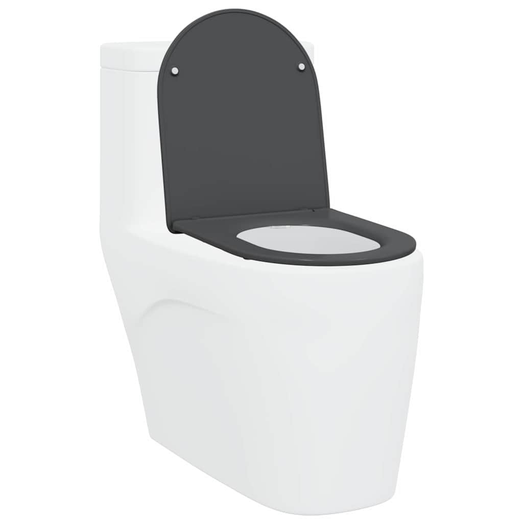 Schnellverschluss-WC-Sitz Anthrazit 44 x 36,4 x 3,4 cm