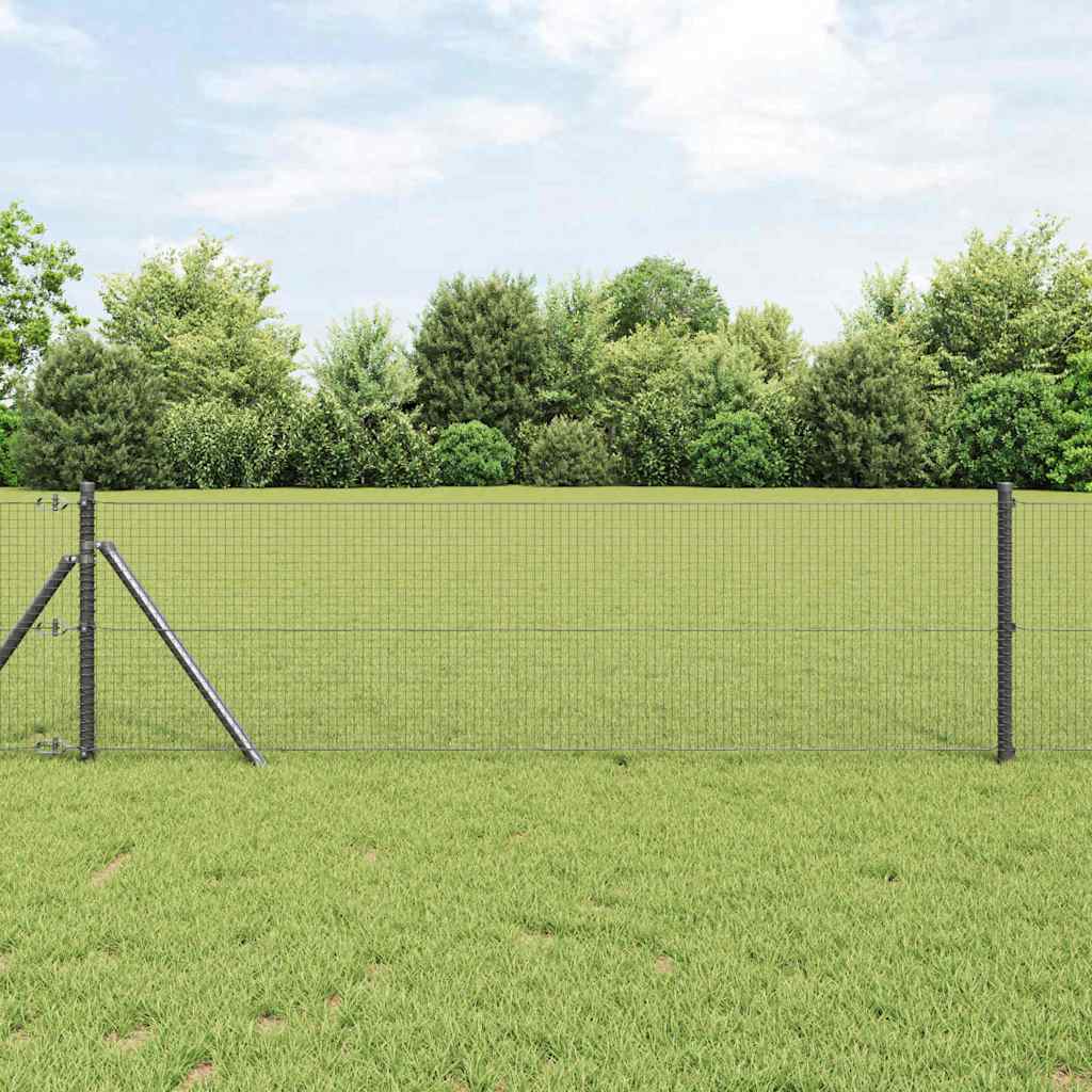Geschweißter Drahtzaun Grau 0,5 x 100 m Stahl