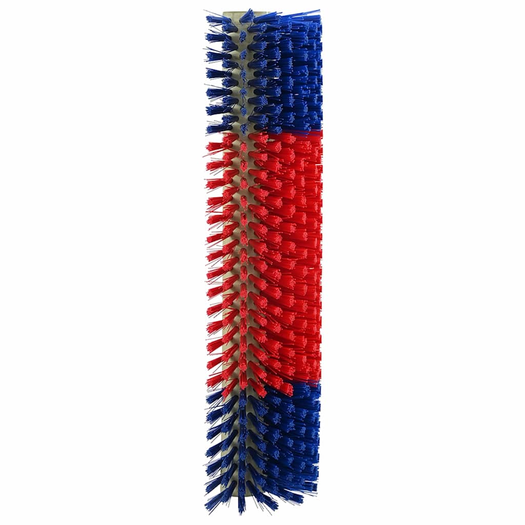 Rinderbürsten Rot und Blau 20 x 9 x 50 cm Kunststoff und Stahl