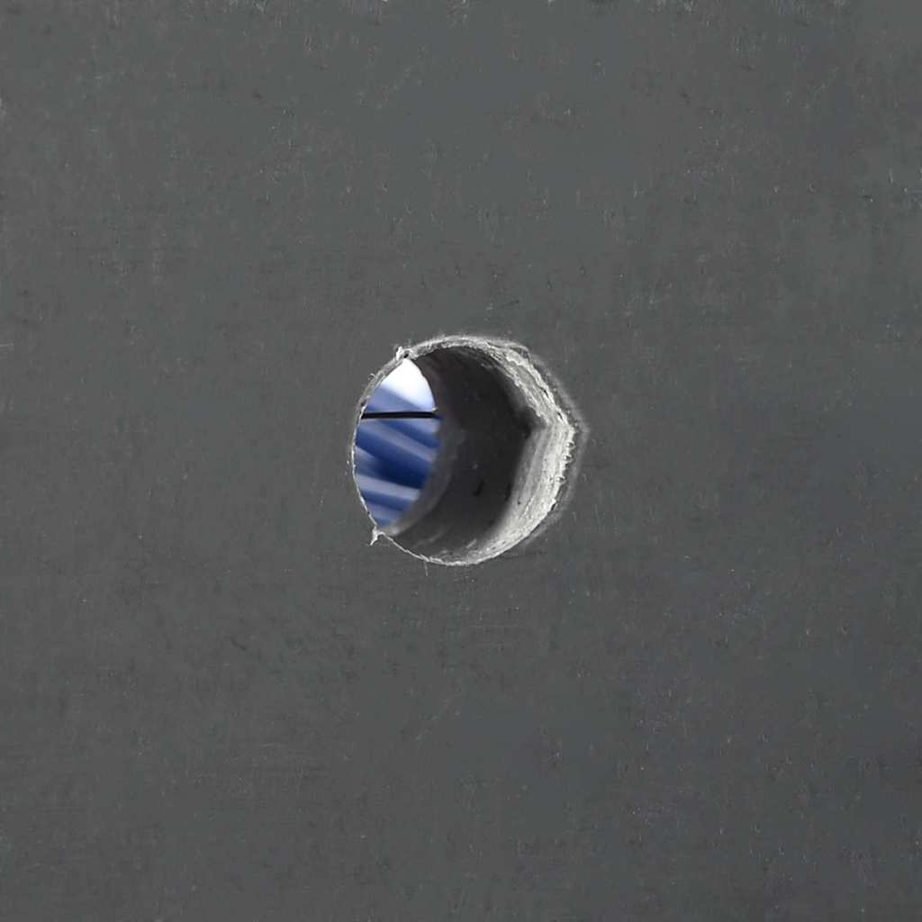 Rinderbürsten Rot und Blau 50 x 10 x 6.5 cm