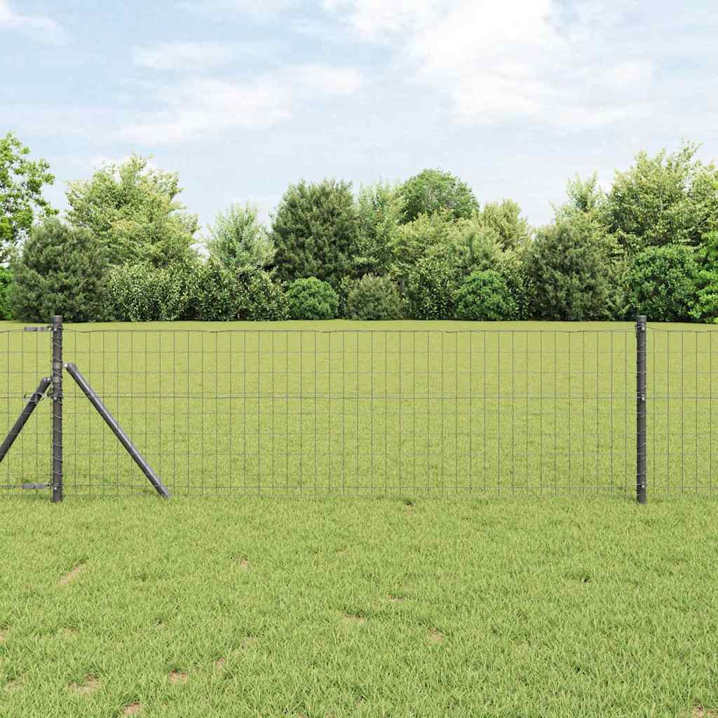 Eurozaun Grau 0.8 x 25 m PVC-beschichtetes Eisen
