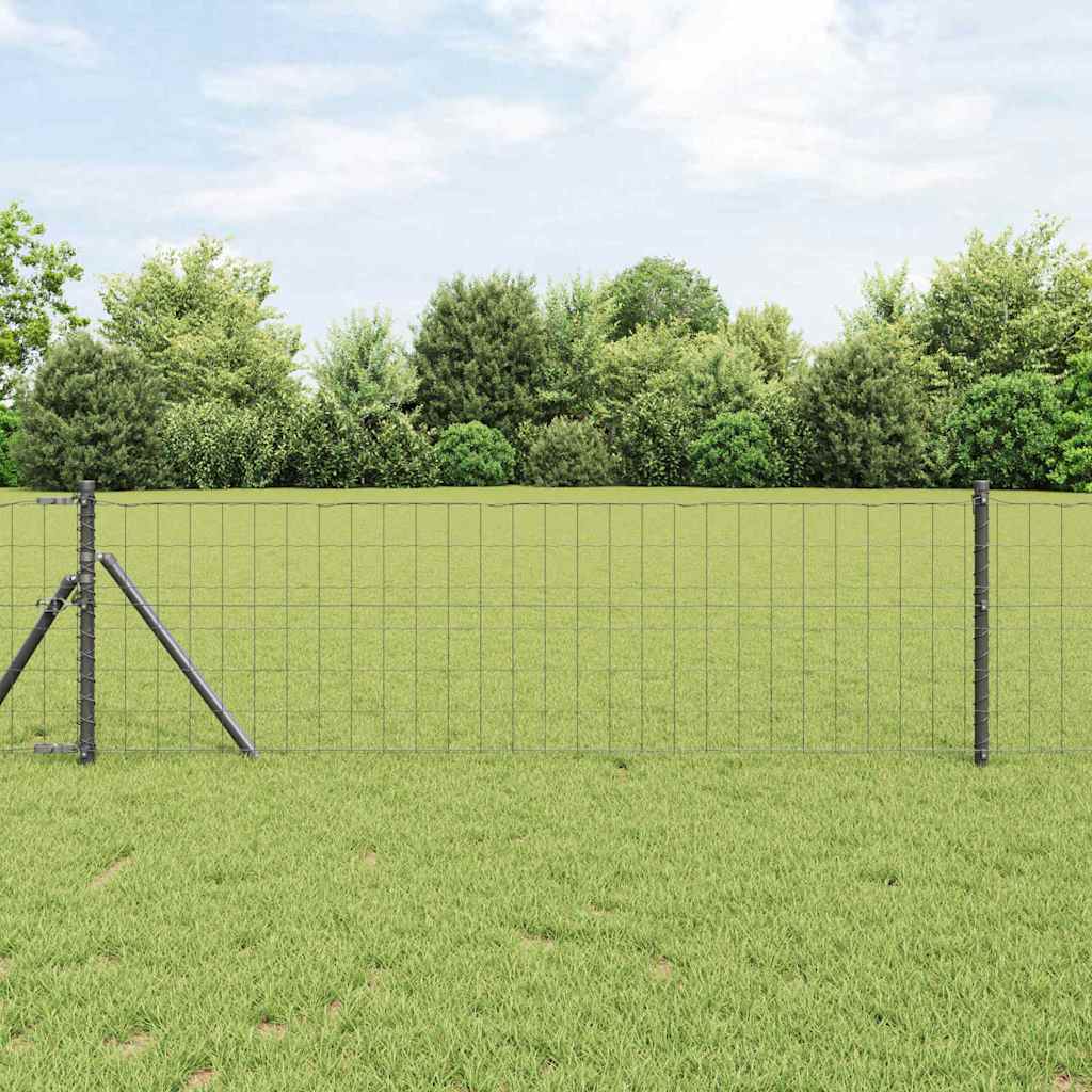 Eurozaun Grau 0.8 x 25 m PVC-beschichtetes Eisen