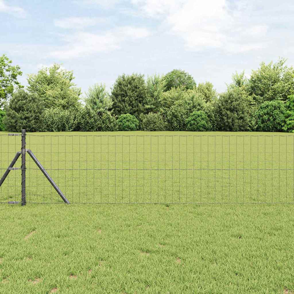 Eurozaun Grau 0,4 x 10 m PVC-beschichtetes Eisen