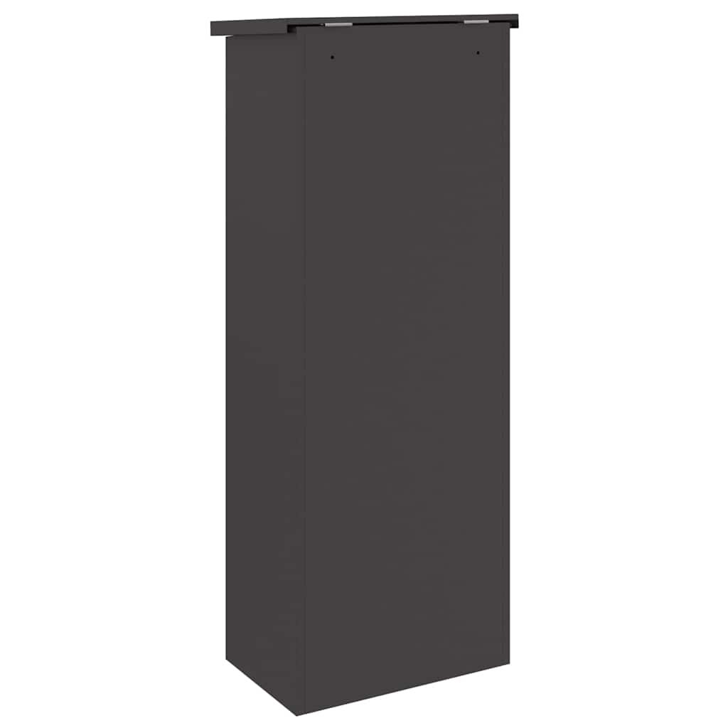 Paketdrop-Box Schwarz 44,5 x 29 x 110,5 cm Stahl