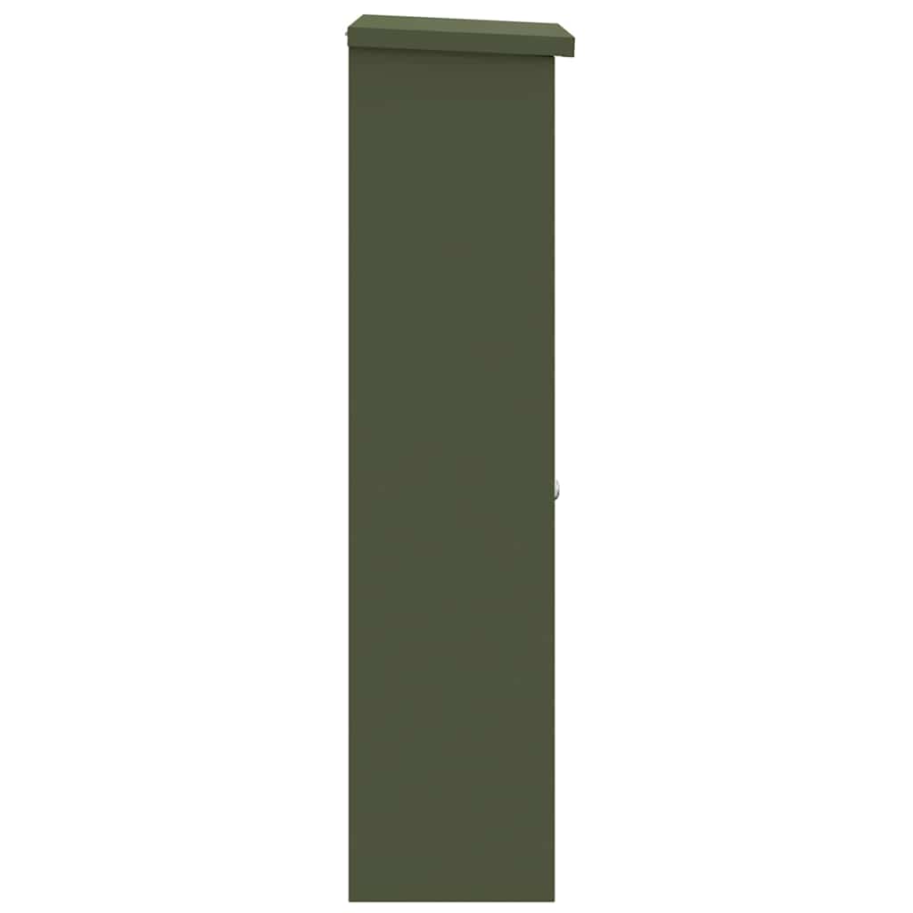 Paketdrop-Box Olivgrün 44,5 x 29 x 110,5 cm Stahl