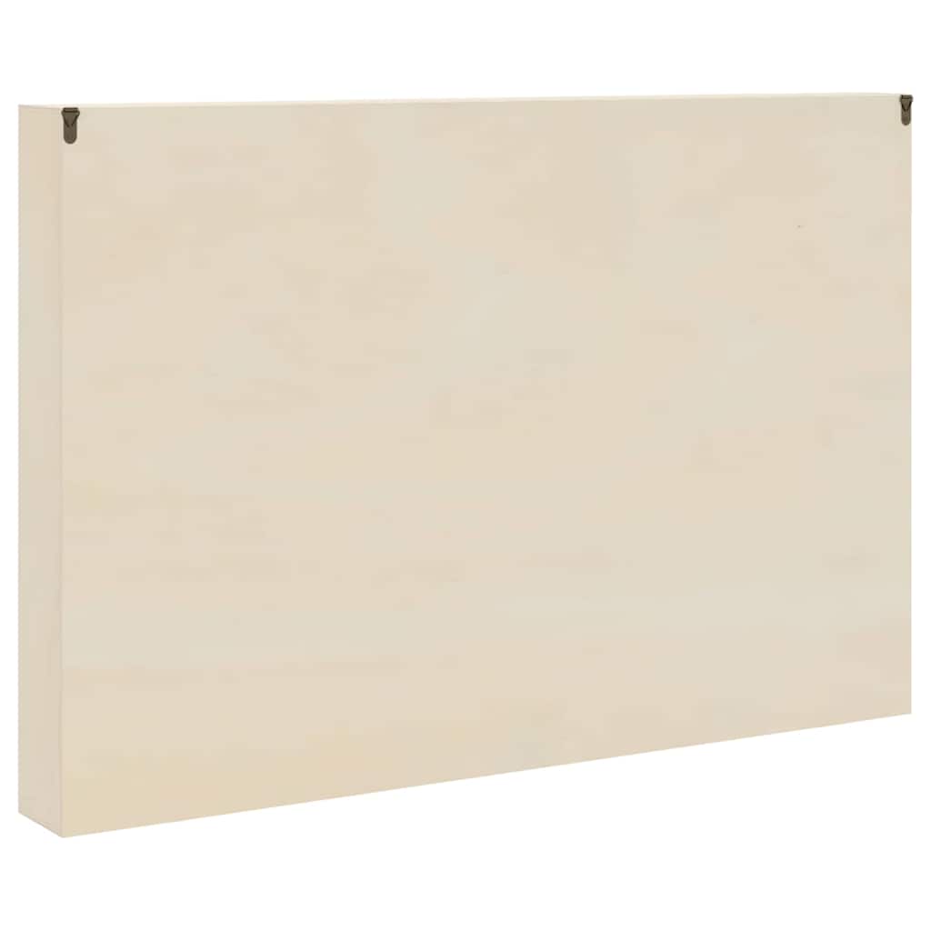 Holz-Sammelvitrine mit Regal Braun 80 x 8.5 x 54 cm Sperrholz
