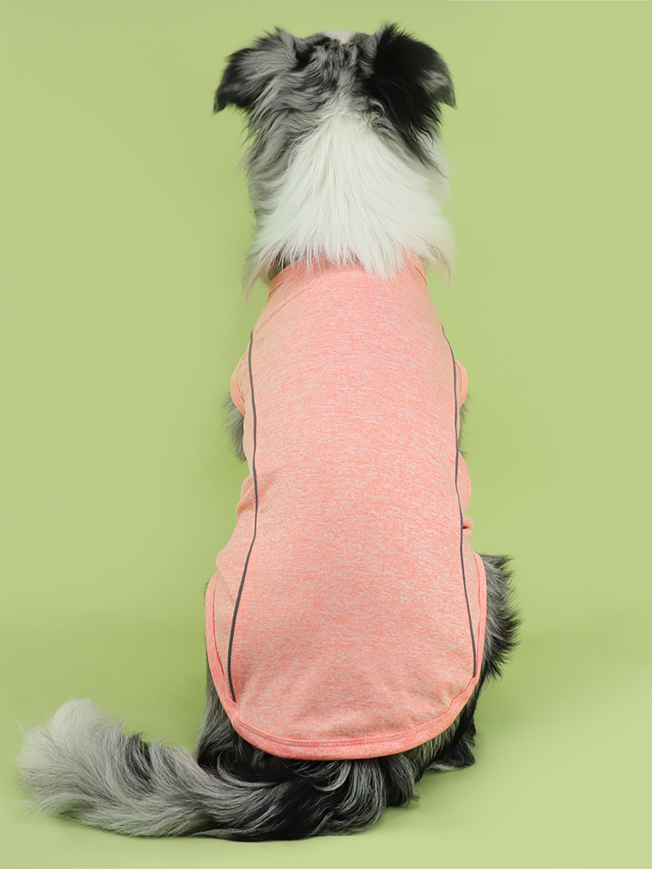 Luminous Clothing TeddyPomeranian Pug Small Dog Night Reflective Stripe Clothing