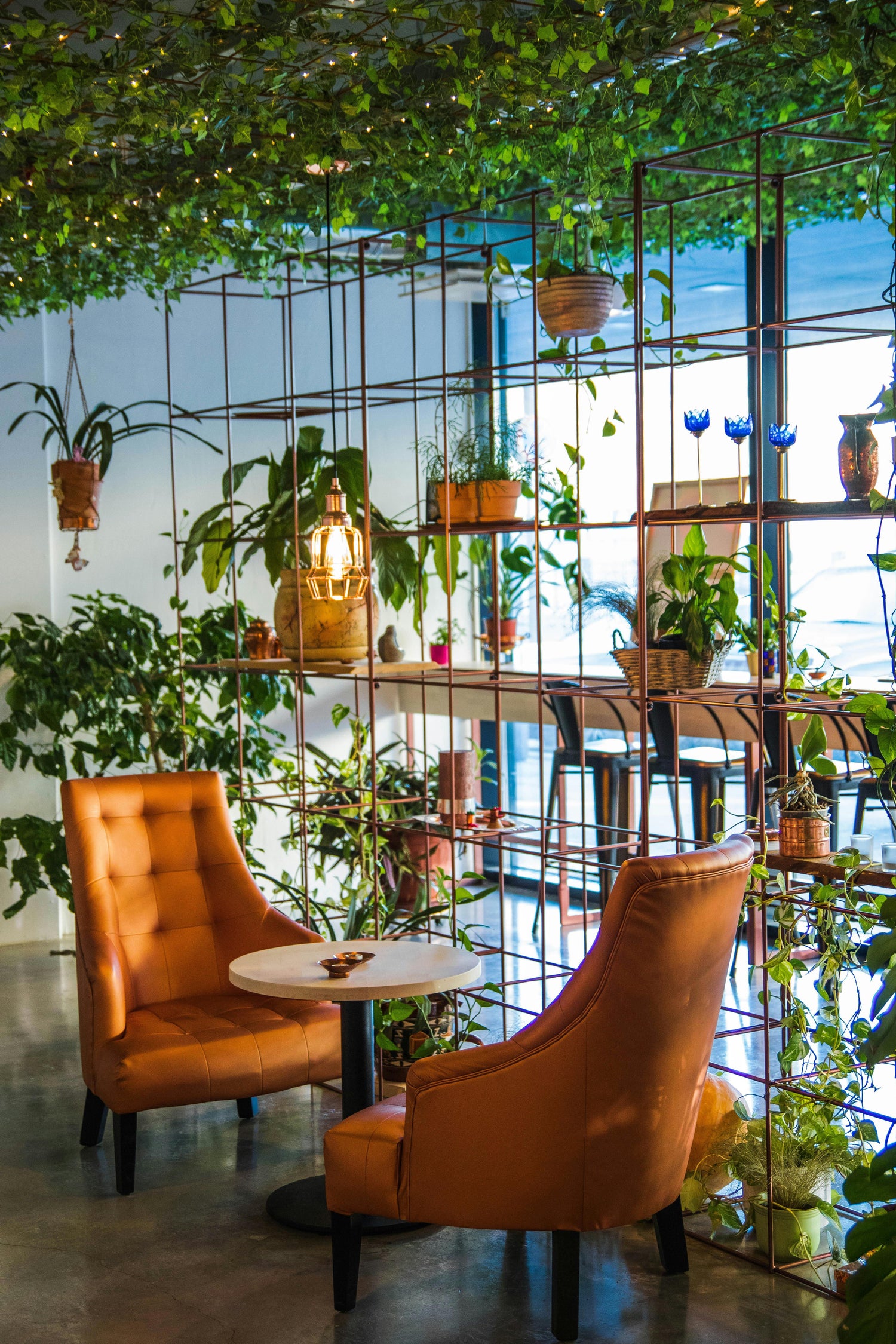 photography of table and chairs near plants