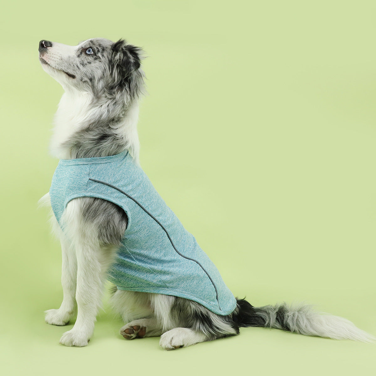 Luminous Clothing TeddyPomeranian Pug Small Dog Night Reflective Stripe Clothing